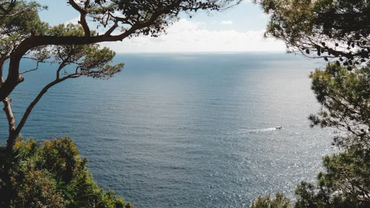 Unlock the Secrets of the Blue Zones: Your Guide to Healthy Longevity, Supported by Farmacell✨