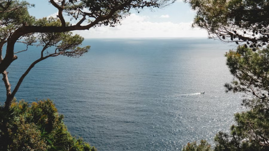 Unlock the Secrets of the Blue Zones: Your Guide to Healthy Longevity, Supported by Farmacell✨